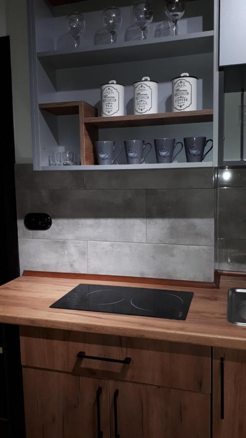Loft Апартаменти З Балконом В Центрі Львова Esterno foto